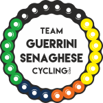TEAM GUERRINI SENAGHESE logo