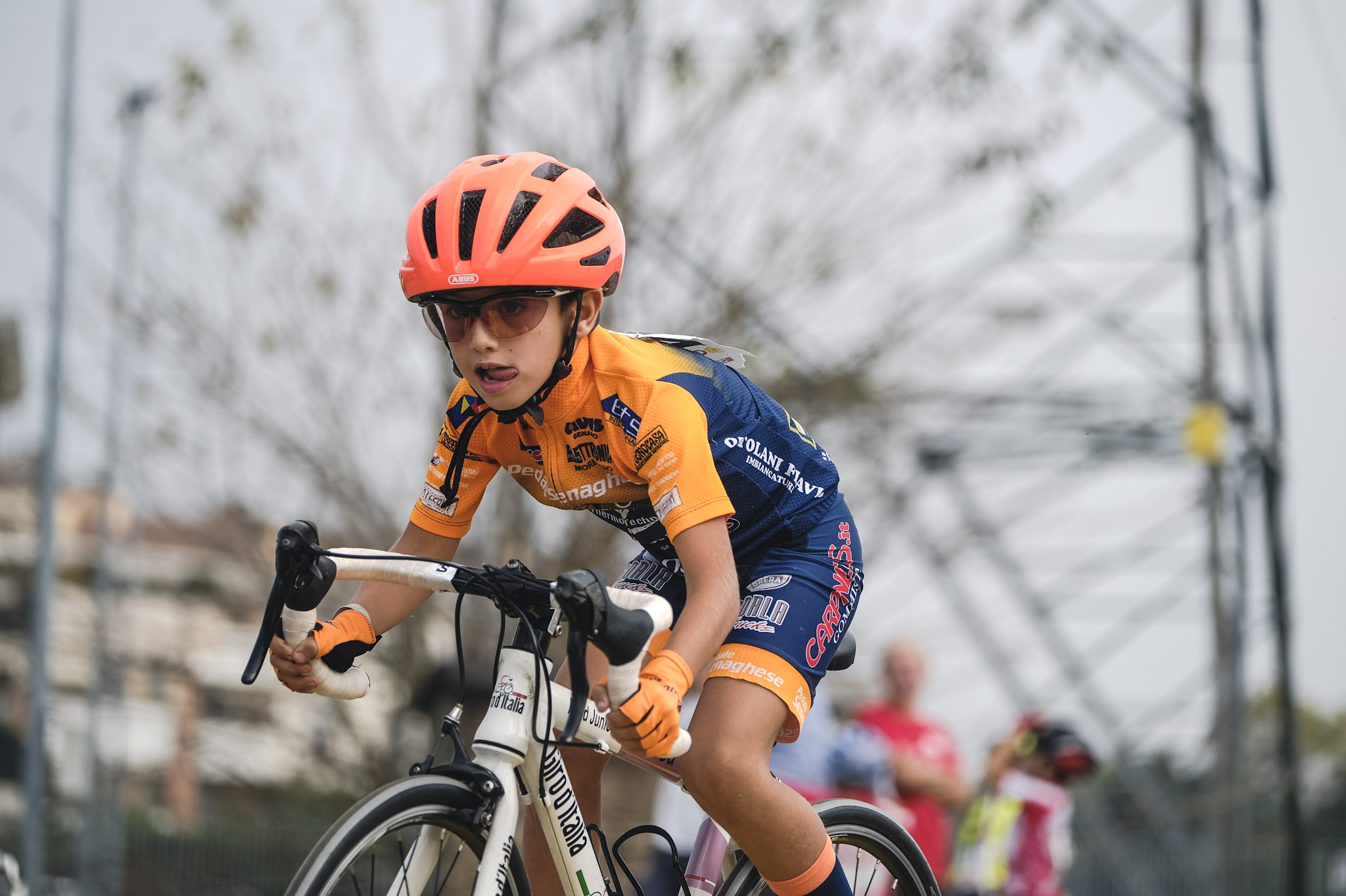 6cce9b26de25df42ad46c469518fe2c7